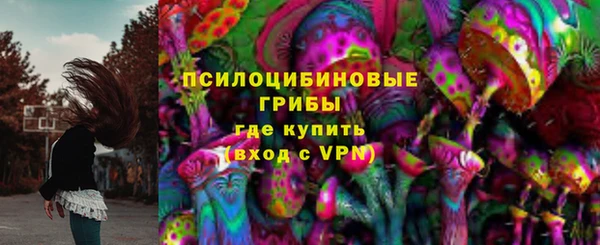 МДПВ Алексеевка
