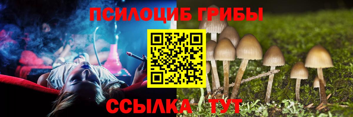 Галлюциногенные грибы MAGIC MUSHROOMS  Галлюциногенные грибы GOLDEN TEACHER  Протвино  Вход с VPN 